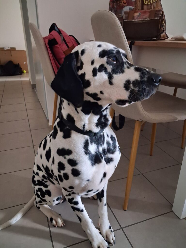 Vasco